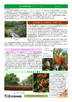 夢の島熱帯植物館 ニュース vol.27