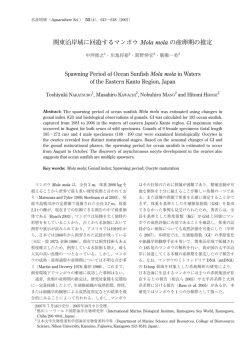 関東沿岸域に回遊するマンボウ Mola mola の産卵期