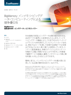 BigMemory: インメモリ・ビッグデ ータ・コンピューティングによる 競争優位性