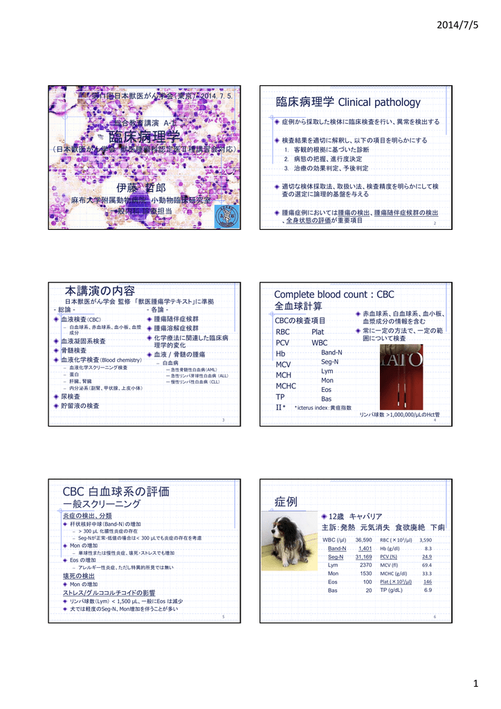 臨床病理学 日本獣医がん学会