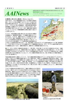 第30号 - 国際耕種