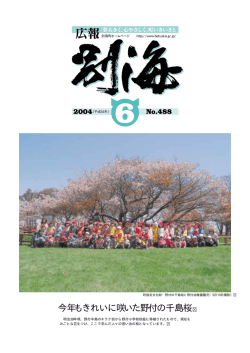 今年もきれいに咲いた野付の千島桜