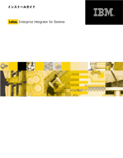 LEI インストールガイド