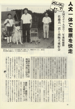 PDFファイルを表示