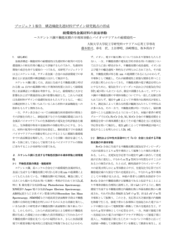 プロジェクト報告 構造機能先進材料デザイン研究拠点の形成 耐環境性