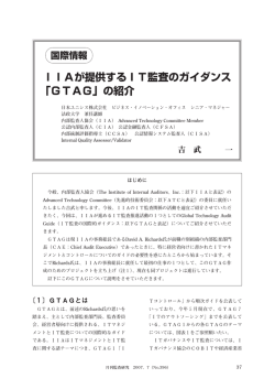 IIA「月刊監査研究」2007年7月号掲載記事