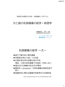 乳腺腫瘍の疫学 ～犬～