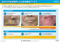 抗EGFR抗体製剤による皮膚障害アトラス