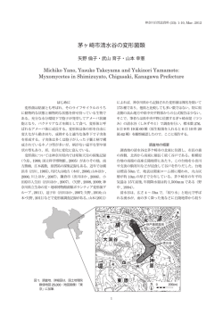 本文PDF - 神奈川県立生命の星・地球博物館