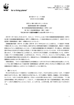 COP22とCMA1を前にポイントまとめ