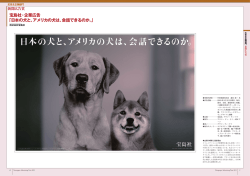 宝島社・企業広告 「日本の犬と、アメリカの犬は、会話できるのか。」