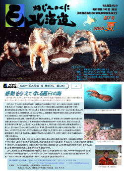 感動を与えてくれる羅臼の海