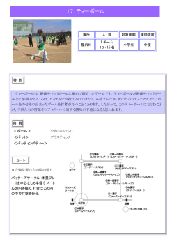 17 ティーボール