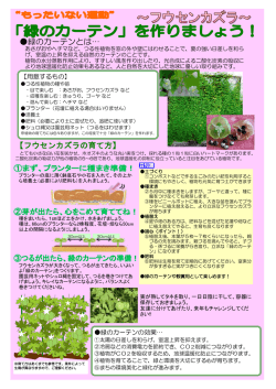 緑のカーテンとは&hellip; 【フウセンカズラの育て方】