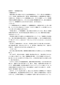 日本語版（PDF）