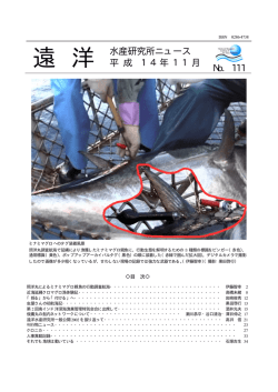 No.111 - 国際水産資源研究所