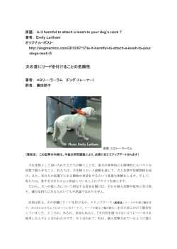 犬の首にリードを付けることの危険性