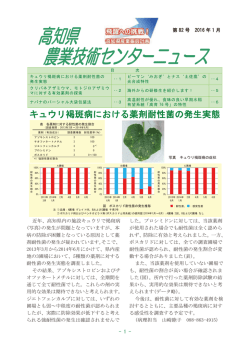 キュウリ褐斑病における薬剤耐性菌の発生実態