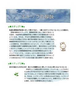 12ステップ解説