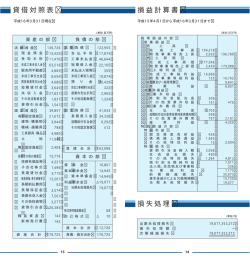 貸借対照表 損益計算書 損失処理