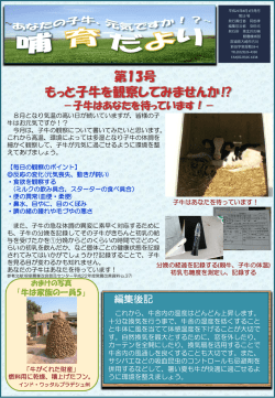 第13号 ダウンロード