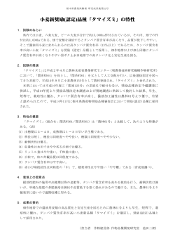 小麦新奨励(認定)品種「タマイズミ」の特性