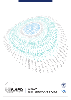 - Institute for Integrated Cell