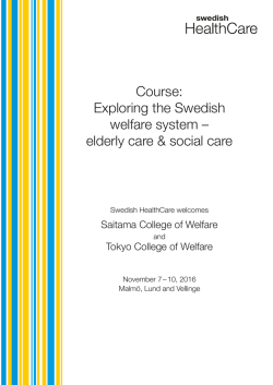 Exploring the Swedish welfare system
