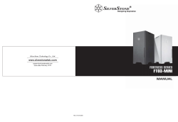 FT03-MINI - SilverStone