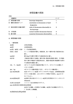 核型記載の原則