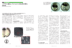 武田洋幸 - 総合研究大学院大学