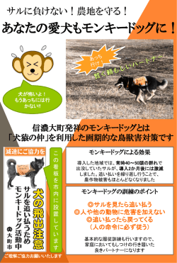 こちら omachi_monkeydog