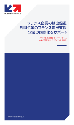 フランス企業の輸出促進 外国企業のフランス進出