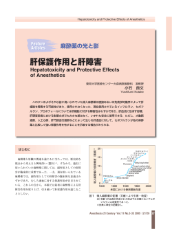 肝保護作用と肝障害