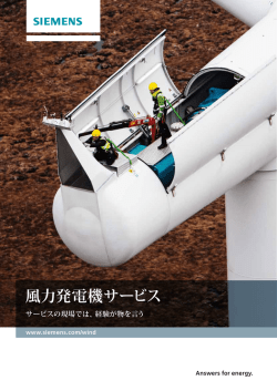 風力発電機サービス