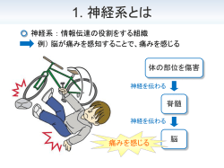 講義スライドをダウンロード