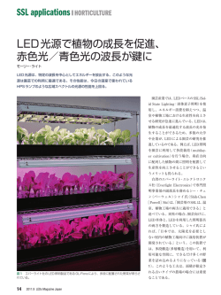 LED光源で植物の成長を促進、 赤色光／青色光の波長が鍵に