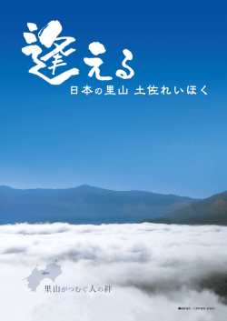 嶺北観光パンフレット