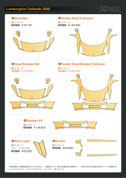 Lamborghini Gallardo 2009