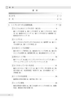 こちら