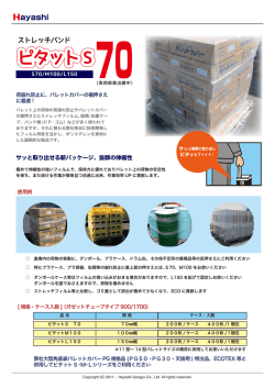 ピタットパンフレット（PDF）