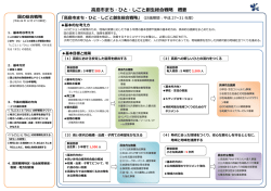 総合戦略概要(PDF文書)
