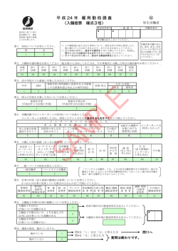 H24年調査票(入職者票 様式3号).xlsx
