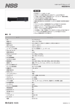 株式会社 NSS