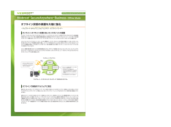 Business-Offline Mode