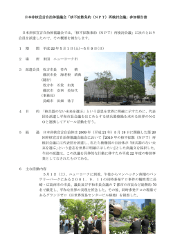 NPT再検討会議代表団派遣にかかる活動報告を掲載しました。