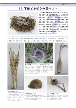 1 0 下着どろぼうの正体は