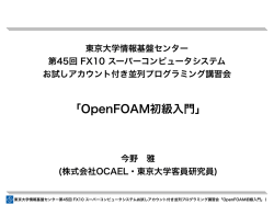 OpenFOAM初級入門 - HOME[東京大学情報基盤センタースーパー