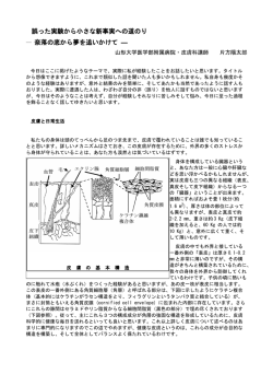 誤った実験から小さな新事実への道のり ― 奈落の底から夢を追いかけて