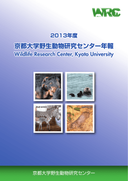 2013年度年報（PDFファイル）